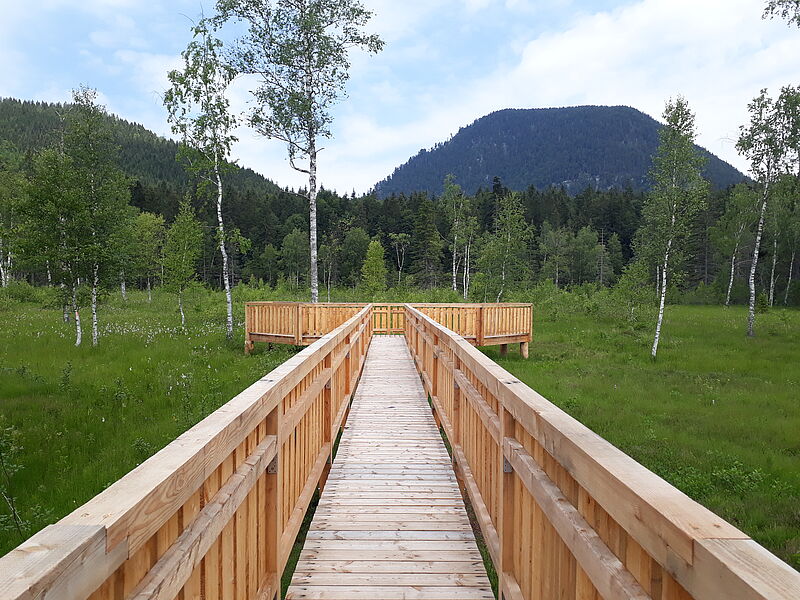 Ein weiter Steg aus Holz führt ins Moor.