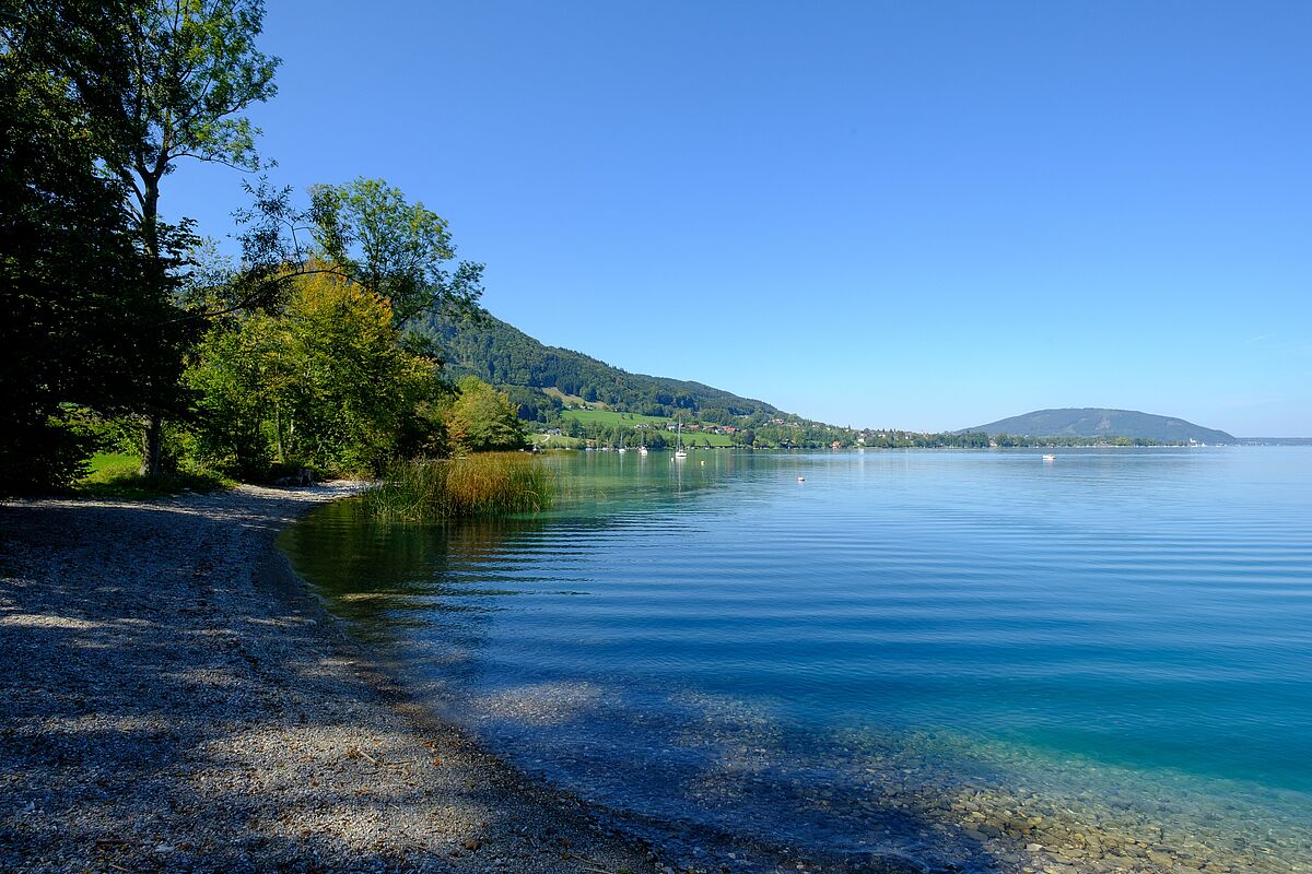 Naturbadeplatz Dexelbach am Attersee (c) ÖBf-Archiv/W. Simlinger Naturbadeplatz Dexelbach am Attersee (c) ÖBf-Archiv/W. Simlinger
