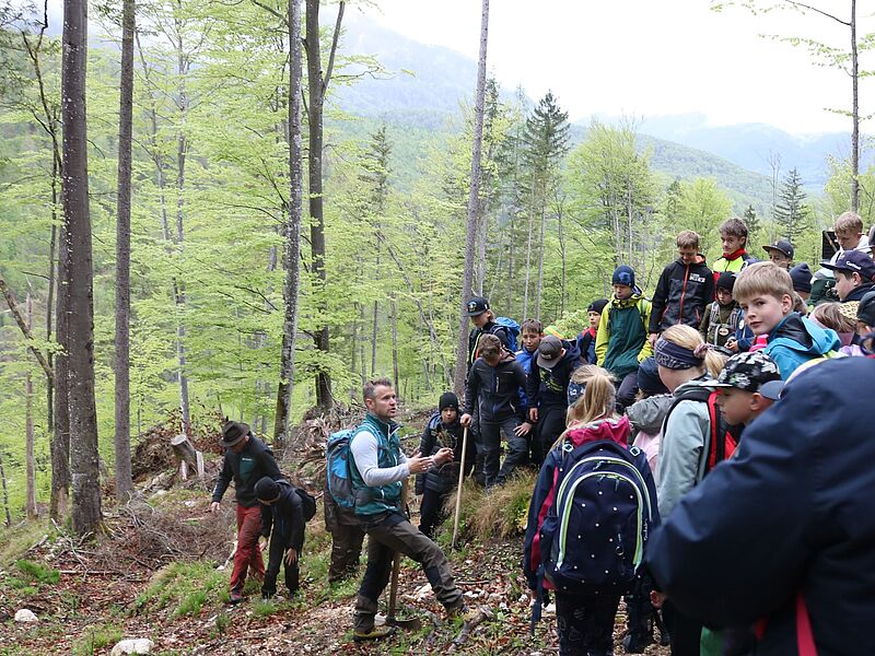 Baumpflanzaktion im Weißenbachtal (c) Ferienregion Dachstein Salzkammergut