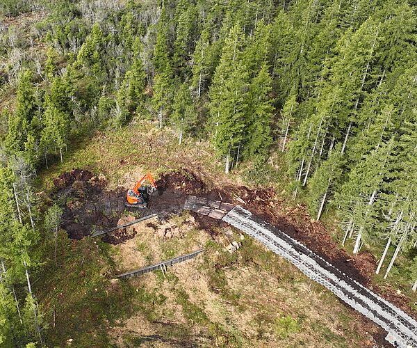 Neuer Weg im Moorschutz: Bundesforste „verpflanzen“ 3.000 m³ Torf ins Wildmoos
