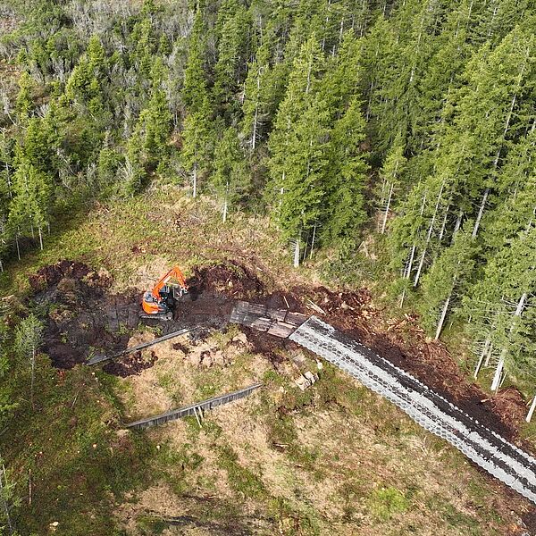 Neuer Weg im Moorschutz: Bundesforste „verpflanzen“ 3.000 m³ Torf ins Wildmoos