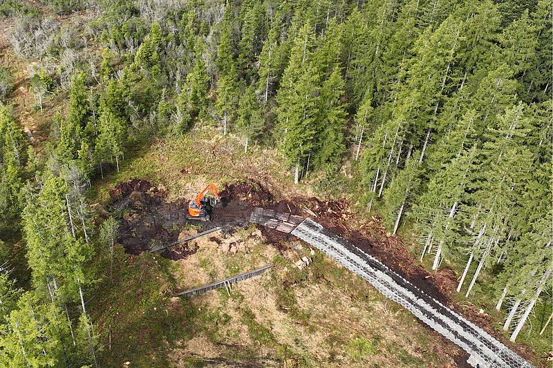 Neuer Weg im Moorschutz: Bundesforste „verpflanzen“ 3.000 m³ Torf ins Wildmoos Neuer Weg im Moorschutz: Bundesforste „verpflanzen“ 3.000 m³ Torf ins Wildmoos