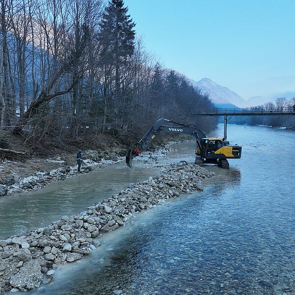 Fünf neue Laichplätze für die Äsche an der Traun