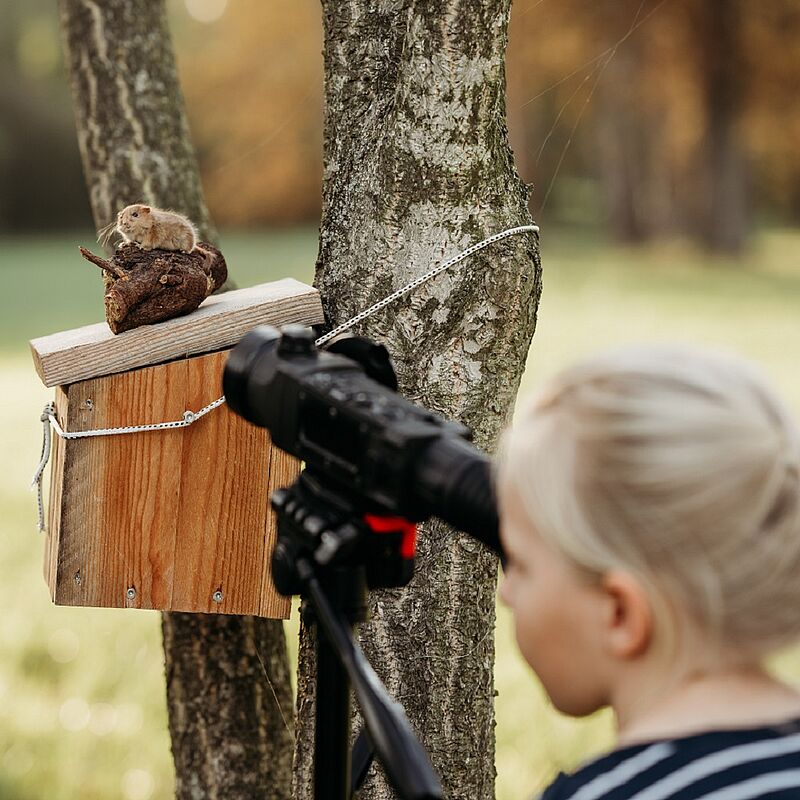 Kinder erforschen die Natur mit dem Spähikel © ÖBf/Schnuhz Photography
