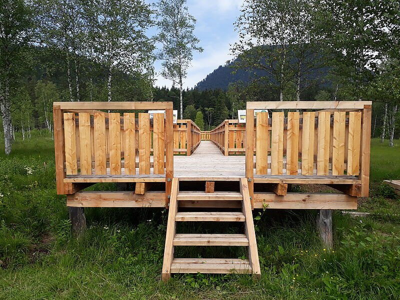Eine aus Holz errichtete neue Plattform befindet sich mitten auf der Wiese. Einige Treppen führen hinauf.