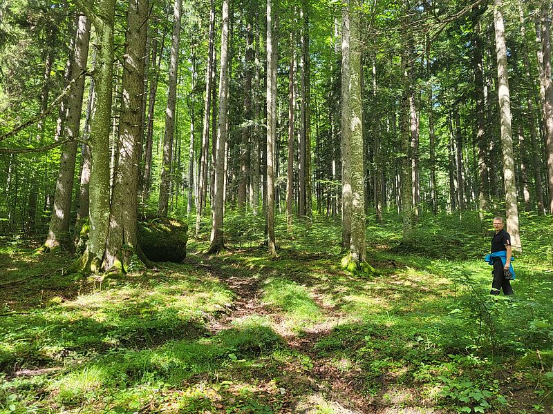 Waldführung in Rosenau (c) ÖBf