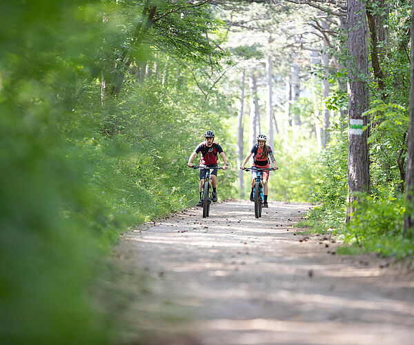 Mountainbike-Saisonstart im Wienerwald 