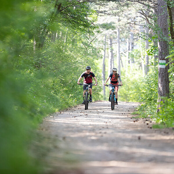 Mountainbike-Saisonstart im Wienerwald 
