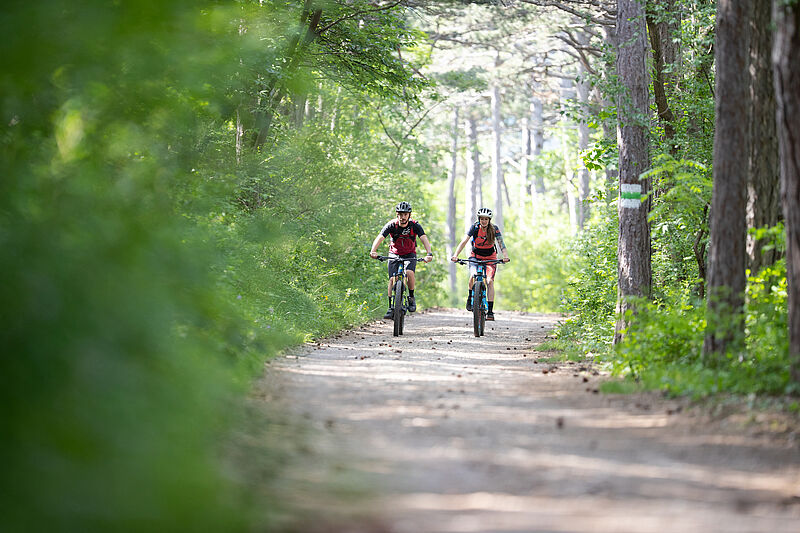 Mountainbike-Saisonstart im Wienerwald 