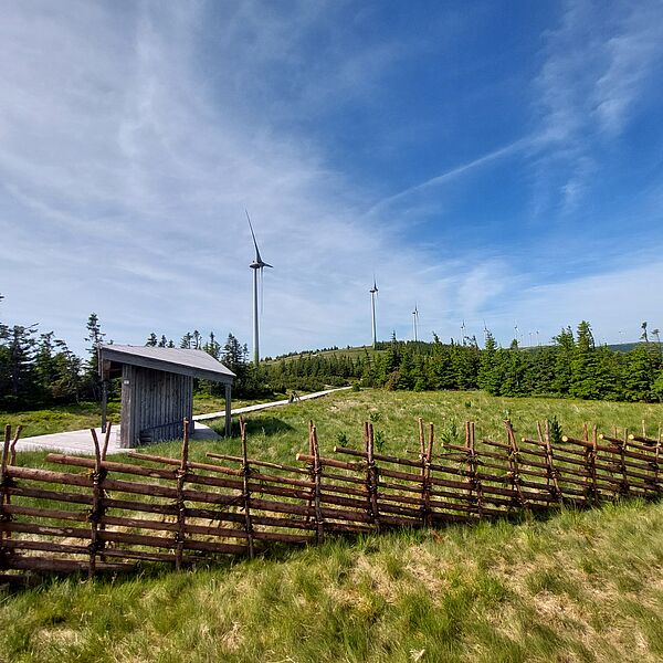 Tradition trifft Naturschutz: Neuer steirischer Bundzaun schützt Schwarzriegelmoor 
