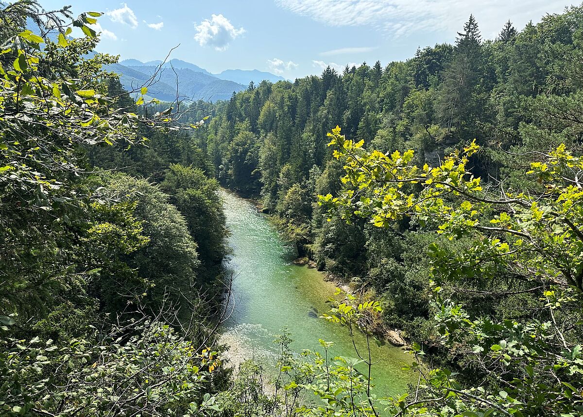Steyrschlucht (c) C. Pointner Steyrschlucht (c) C. Pointner