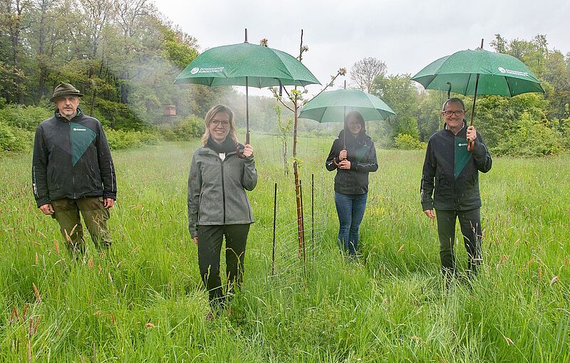 Beim Lokalaugenschein im Wienerwald, v.l.n.r. ÖBf-Revierleiter Joachim Graf, Klimaschutzministerin Leonore Gewessler, Christina Laßnig-Wlad, Leiterin des ÖBf-Naturraummanagements, ÖBf-Vorstand Rudolf Freidhager (c) ÖBf-Archiv/F. Helmrich