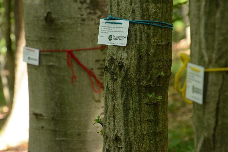 VS St. Andrä-Wördern