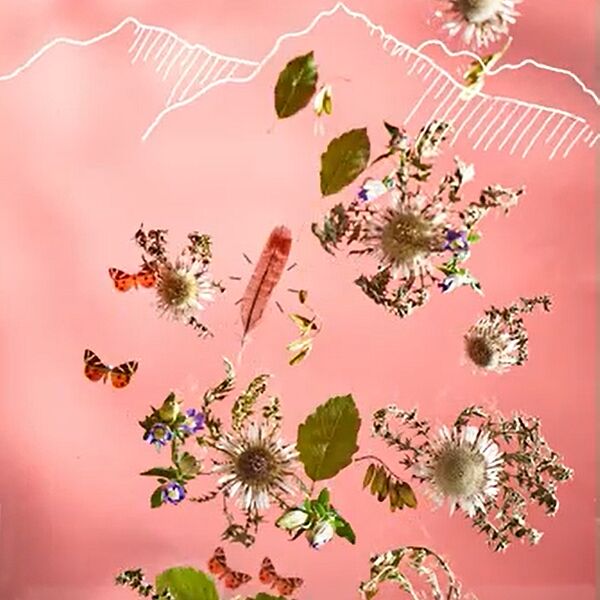 WALD Kalender Mai 2023