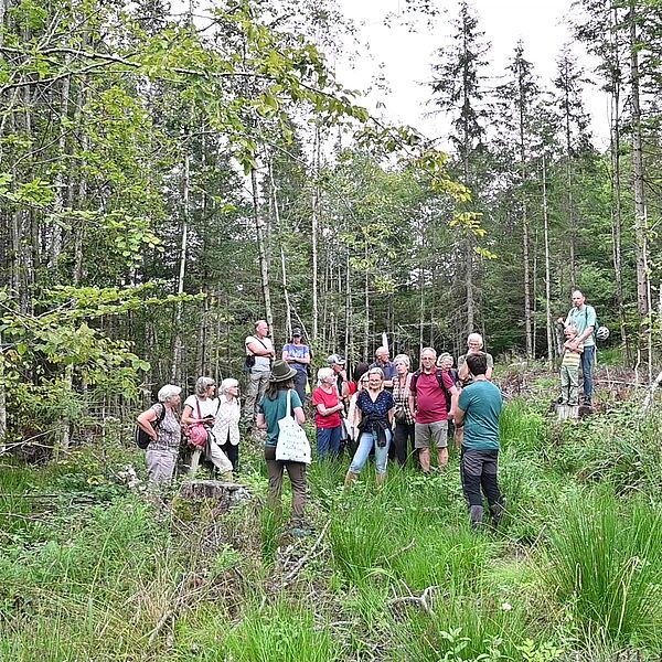Einblicke in die nachhaltige Waldbewirtschaftung