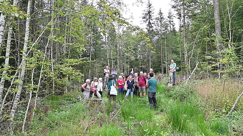 Waldführung am Heuberg bei Koppl (c) Harald Kienzl/KEM