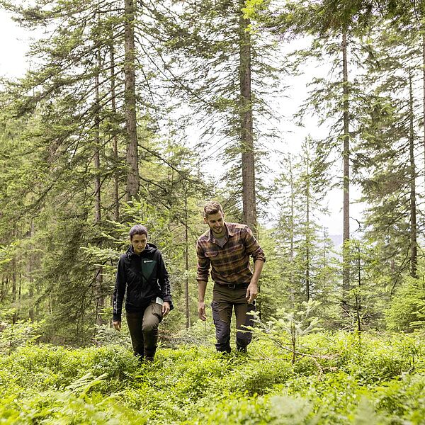 #teamnature: Bundesforste suchen Naturtalente
