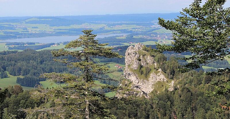 Aussicht zum Nockberg am WohlfühlWeg am Gaisberg // Foto: Naturfreunde