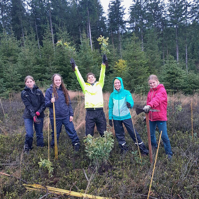 Pfadfinder*innen beim Pflanzen von Stieleichen (c) ÖBf
