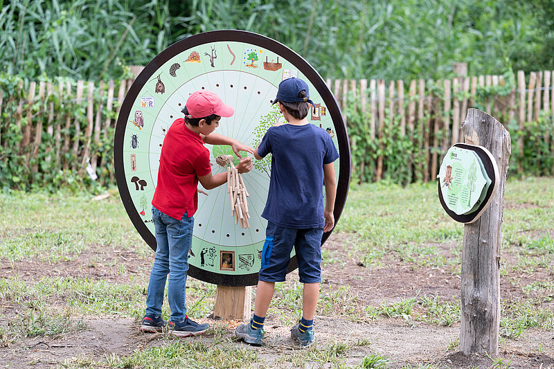 Kinder auf Entdeckungstour im Naturerlebnisgelände (c) ÖBf-Archiv/F. Helmrich