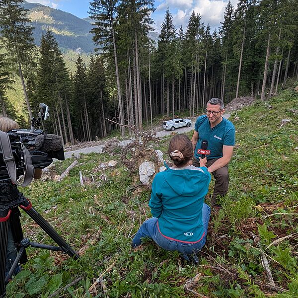 TV-Beitrag über Wiederaufforstungen in Kleinarl
