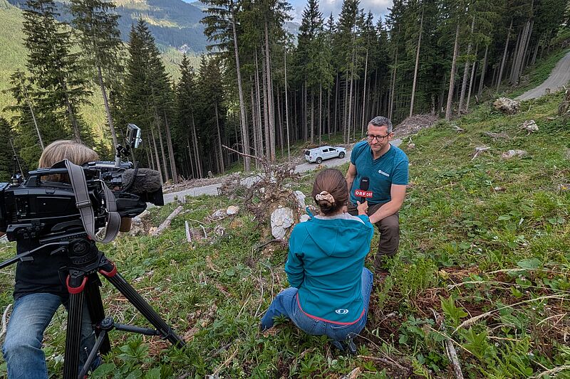 TV-Beitrag über Wiederaufforstungen in Kleinarl TV-Beitrag über Wiederaufforstungen in Kleinarl