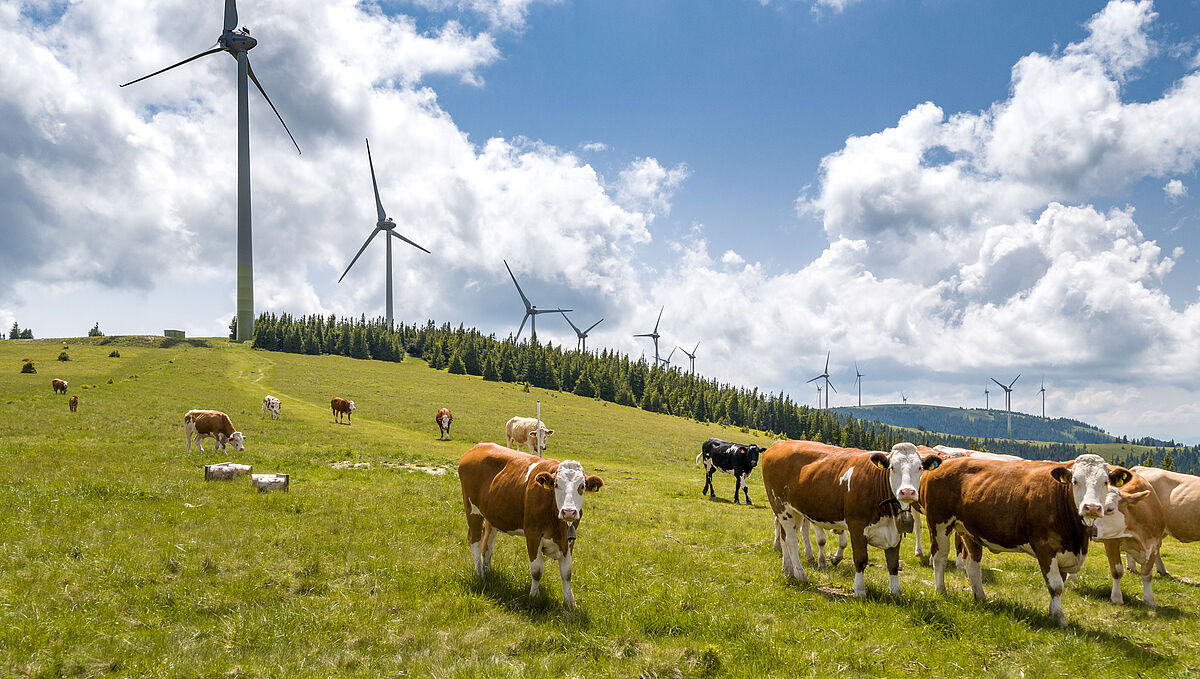 Windpark Pretul, © ÖBf-Archiv/R. Leitner Windpark Pretul, © ÖBf-Archiv/R. Leitner