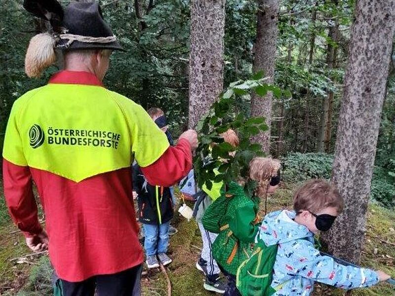 Bei waldpädagogischen Spielen konnten die Kinder den Wald hautnah erkunden (c) ÖBf