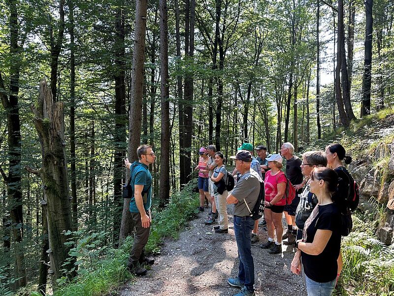 Waldführung in Bischofshofen (c) Robert Ramsauer