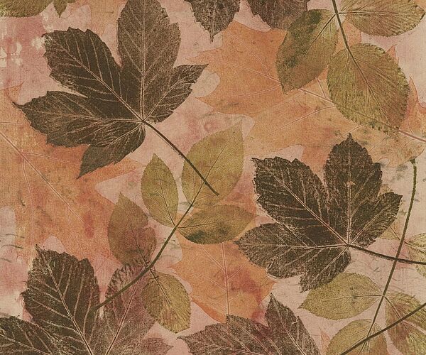WALD Kalender Oktober 2026 WALD Kalender Oktober 2026