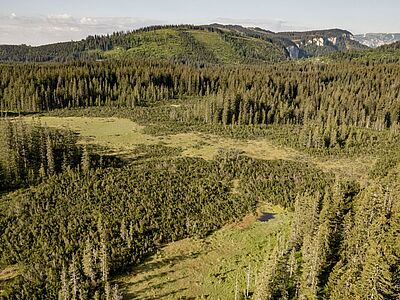 Moorkomplex am Nassköhr, Drohnenaufnahme