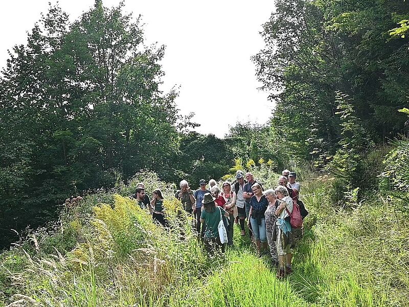 Waldführung am Heuberg bei Koppl (c) Harald Kienzl/KEM