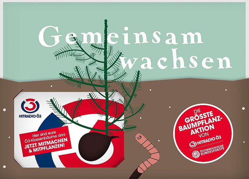 100.000 Baumsamen (Lärche) für alle Taferlklassen in der Ö3-Jubiläums-Schultüte