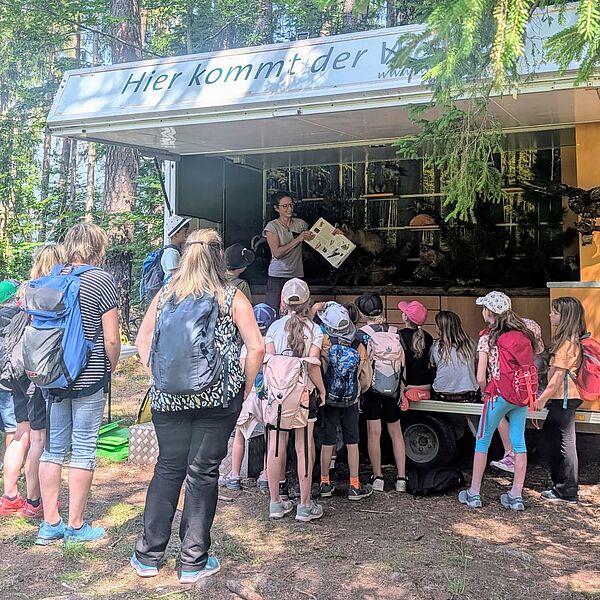 „Wald trifft Stadt“: Woche des Waldes in Innsbruck