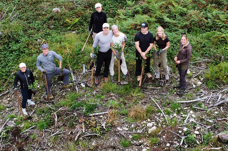 Brixental: Gemeinsam für den Wald von morgen Brixental: Gemeinsam für den Wald von morgen