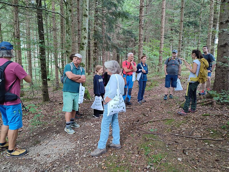 Waldführung in Gnadenwald mit ÖBf-Expertin Nadine Werner (c) ÖBf
