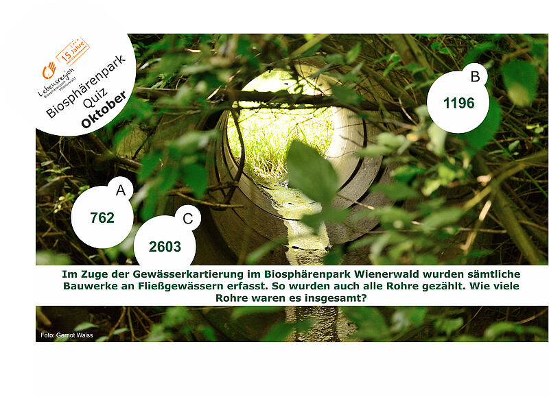 Blick in ein Betonrohr, Quizfrage: Wie viele Rohre wurden bei der Gewässerkartierung im BPWW gezählt?