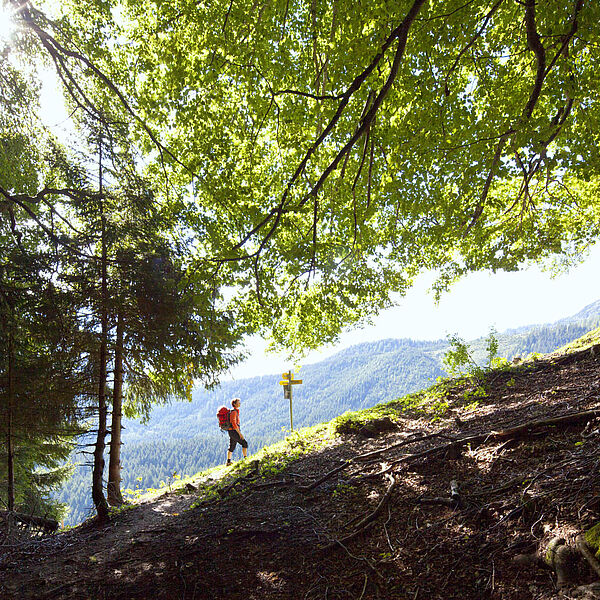 7 Tipps zum richtigen und fairen Verhalten im Wald!
