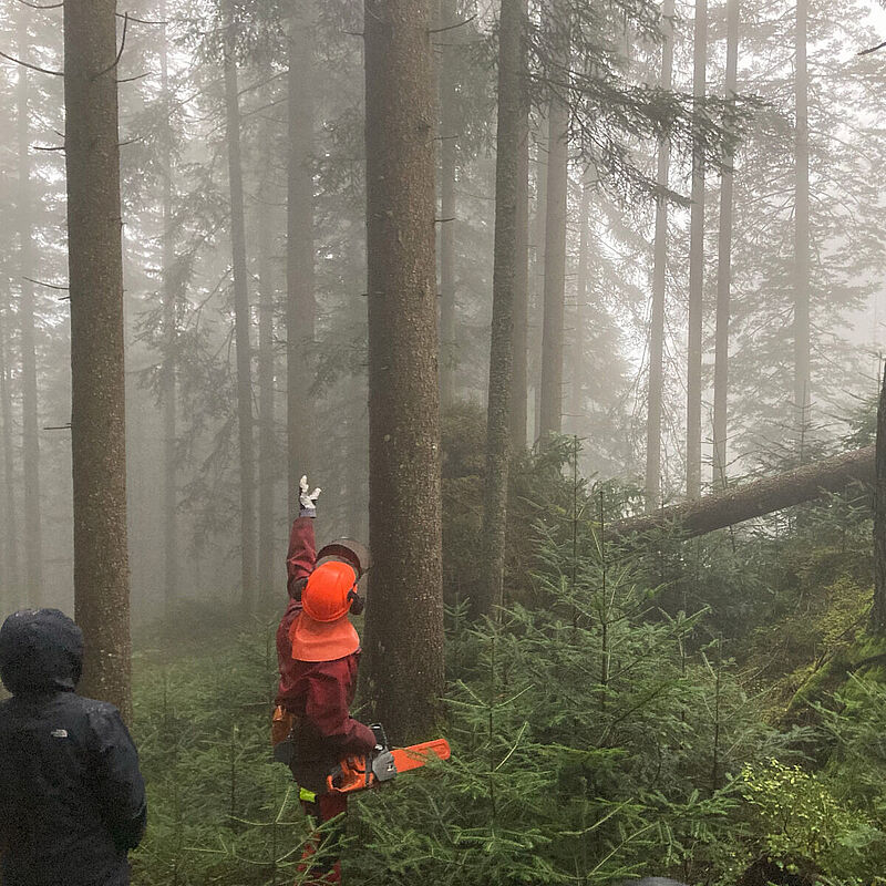 Die ÖBf-Experten gaben den Schüler*innen zahlreiche Einblicke in ihre Arbeit (c) ÖBf 