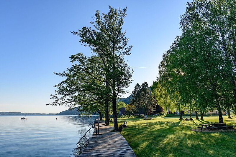 Neugestaltetes Badeareal „Huthausaufsatz“ in Weyregg am Attersee (OÖ) mit großzügiger Liegewiese (c) ÖBf-Archiv/W. Simlinger