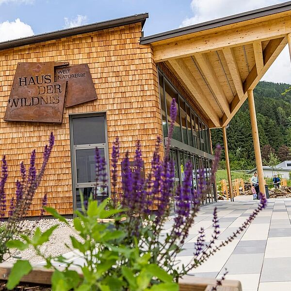 Tag der Wildnis inkl. Symposium „Verlorene Wildnis – Verlorenes Wissen“ und Fest der Wildnis