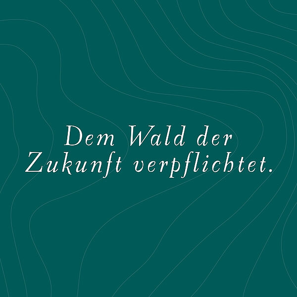 Dem Wald der Zukunft verpflichtet.