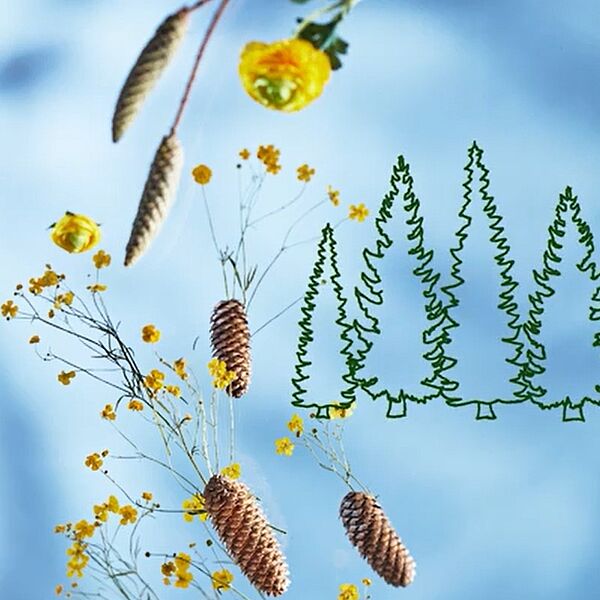 WALD Kalender August 2023