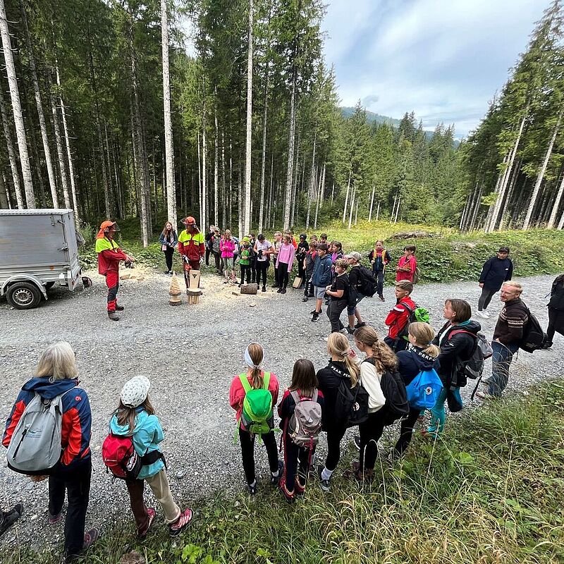 Waldpädagogische Führung in Kleinarl  (c) F. Broschek/H. Schlögel