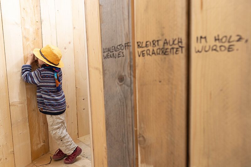 Blick aus dem „Haus des Baumes“ vor dem MuseumsQuartier in Wien (c) eSeL.at – Lorenz Seidler