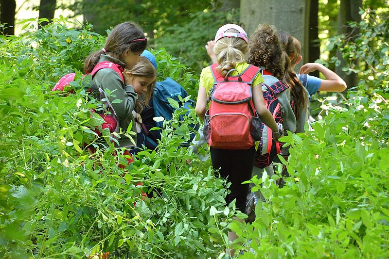 Kinder mit Rucksäcken gehen durch den Wald