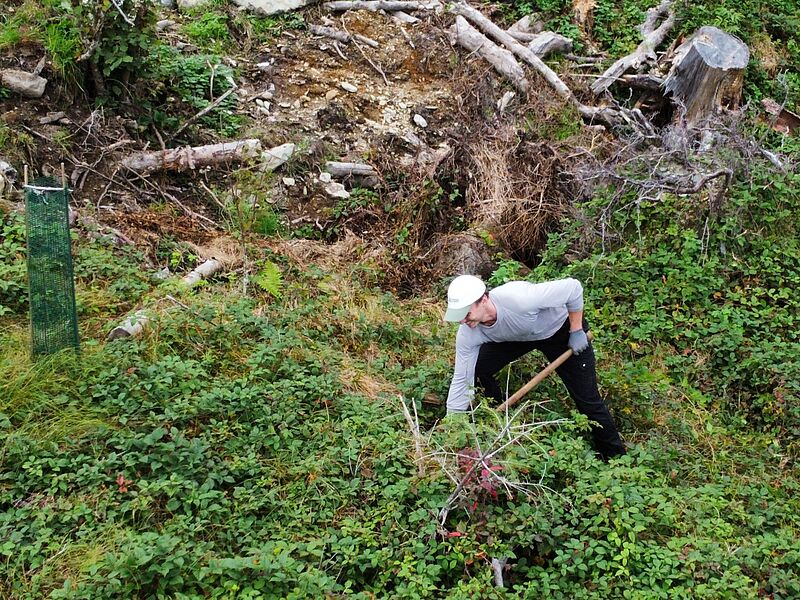Freiwillige der Initiative „Bäume für morgen“ beim Pflanzen der Jungbäume (c) oebf Freiwillige der Initiative „Bäume für morgen“ beim Pflanzen der Jungbäume (c) oebf