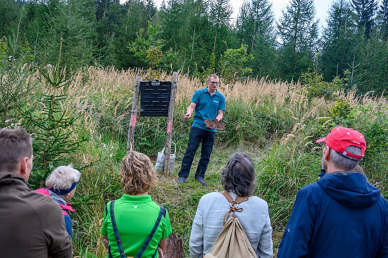 Waldführung im Forstrevier Steyr auf dem Damberg bei St. Ulrich (c) ÖBf/W. Simlinger