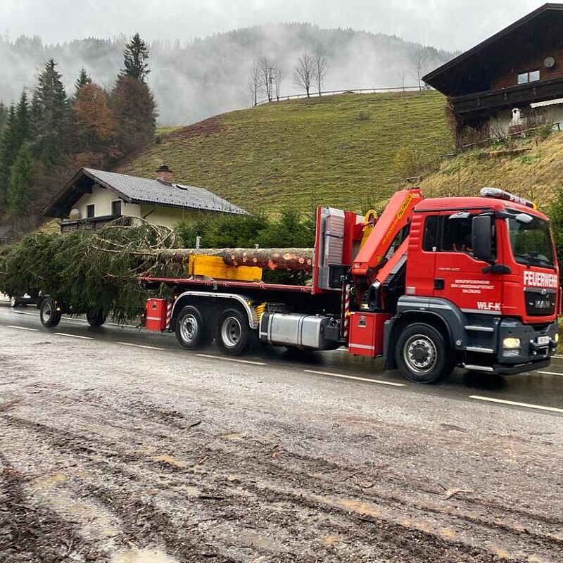 Baumtransport (c) Stefan Merkinger