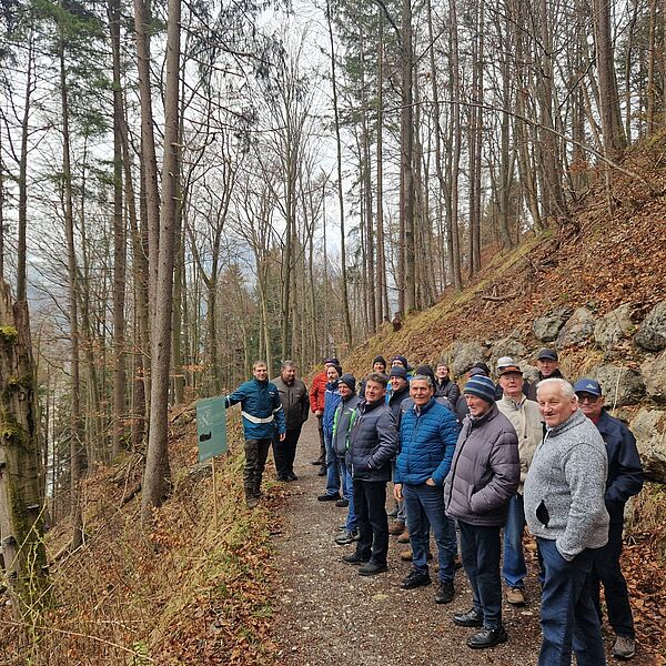 Blick in den „Wald der Zukunft“